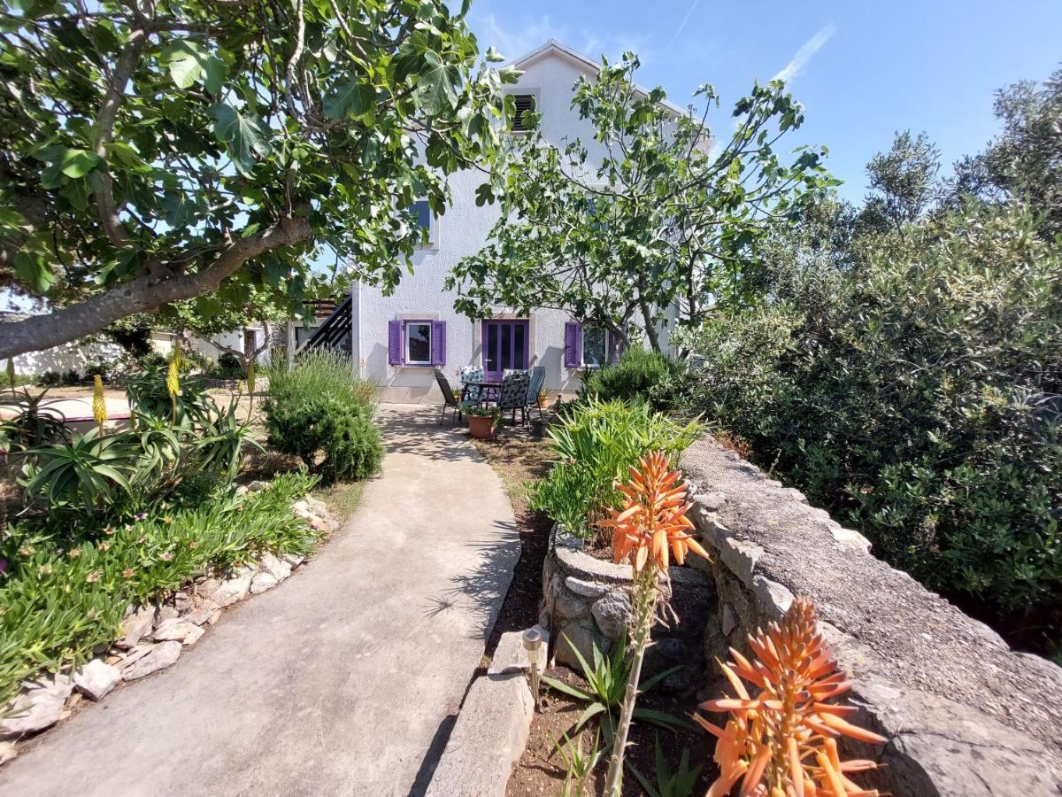 Apartament Casa Di Castello Mali Lošinj Zewnętrze zdjęcie